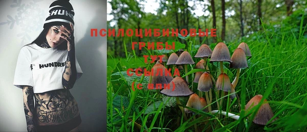прущая мука Арсеньев